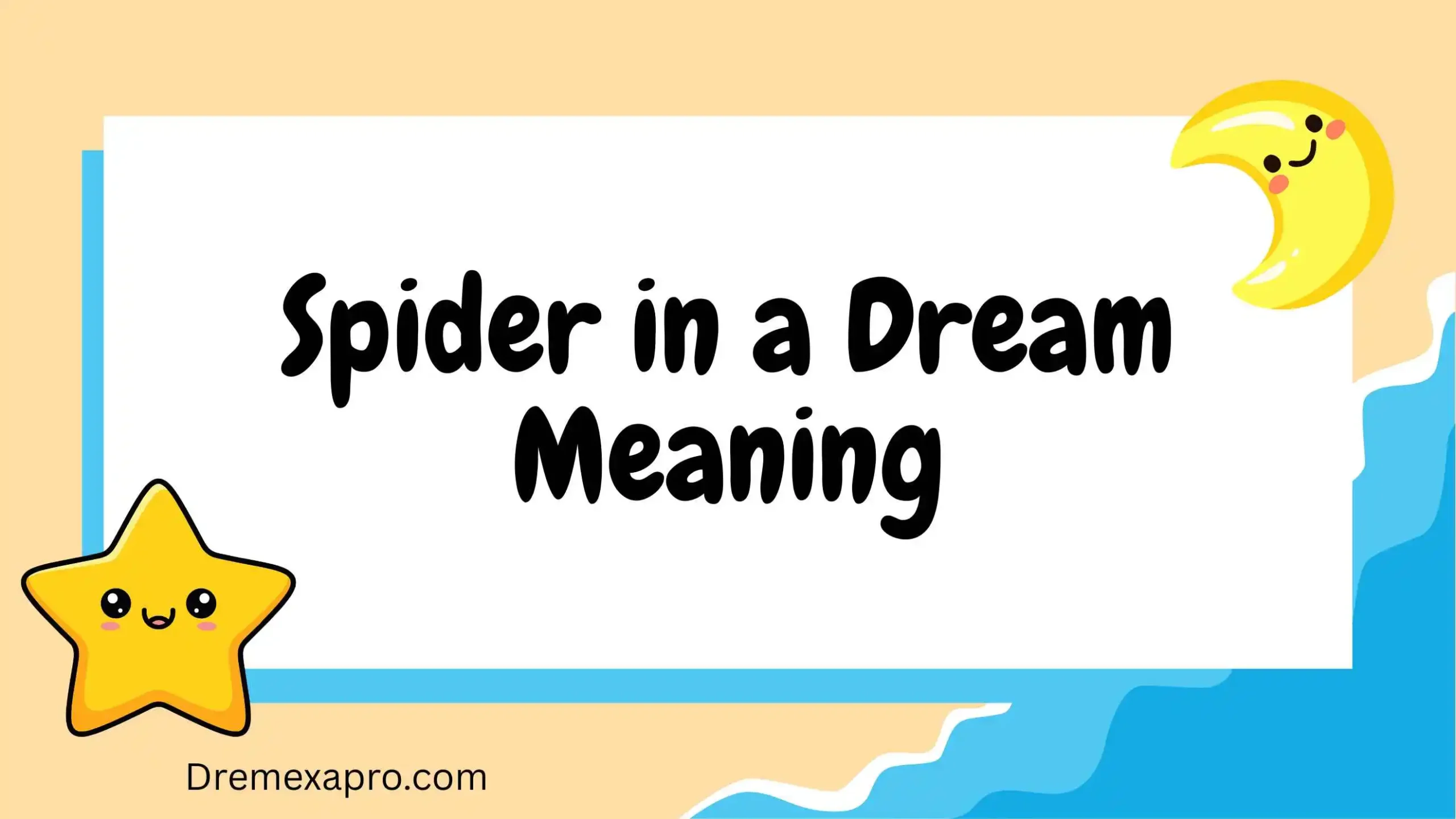 Spider in a Dream Meaning