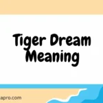 Tiger Dream Meaning