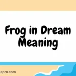 Frog in Dream Meaning