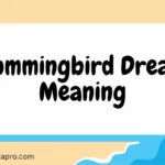 Hummingbird Dream Meaning