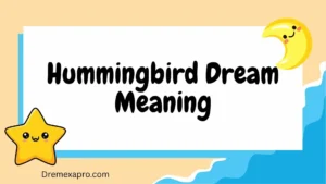 Hummingbird Dream Meaning