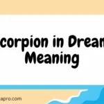 Scorpion in Dream Meaning