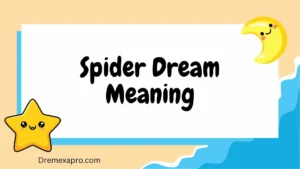 Spider Dream Meaning