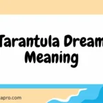 Tarantula Dream Meaning