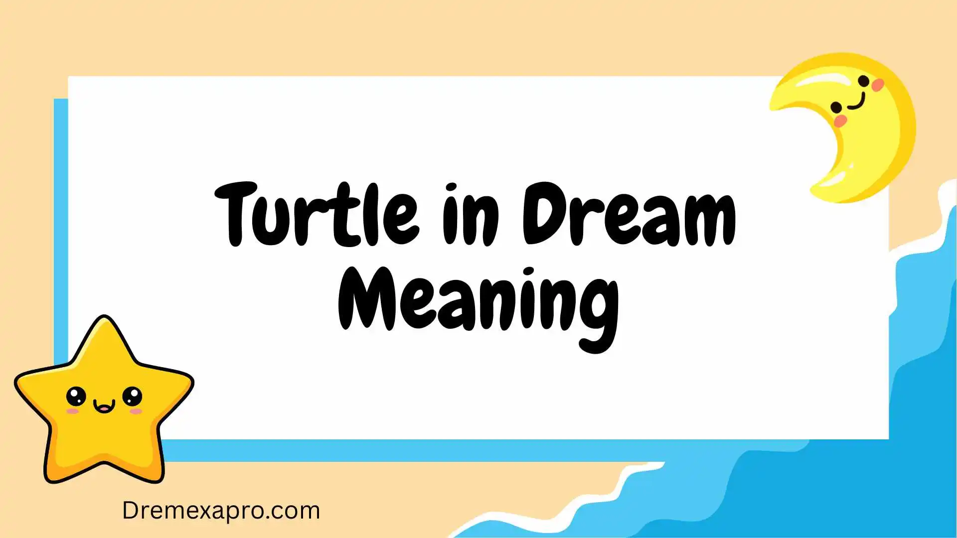 Turtle in Dream Meaning