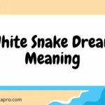 White Snake Dream Meaning