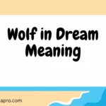 Wolf in Dream Meaning