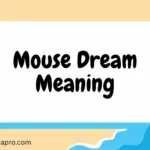 Mouse Dream Meaning