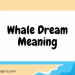 Whale Dream Meaning
